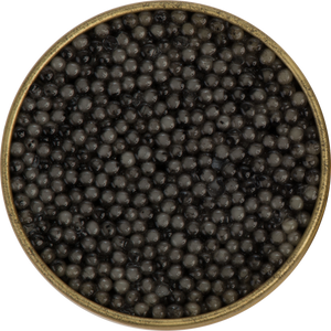 Beluga Caviar