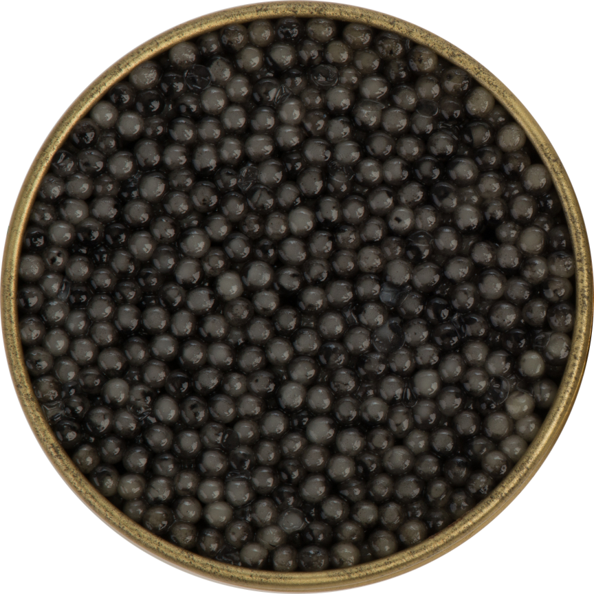 Beluga Caviar
