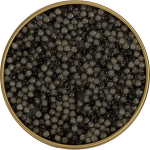 Bester Caviar