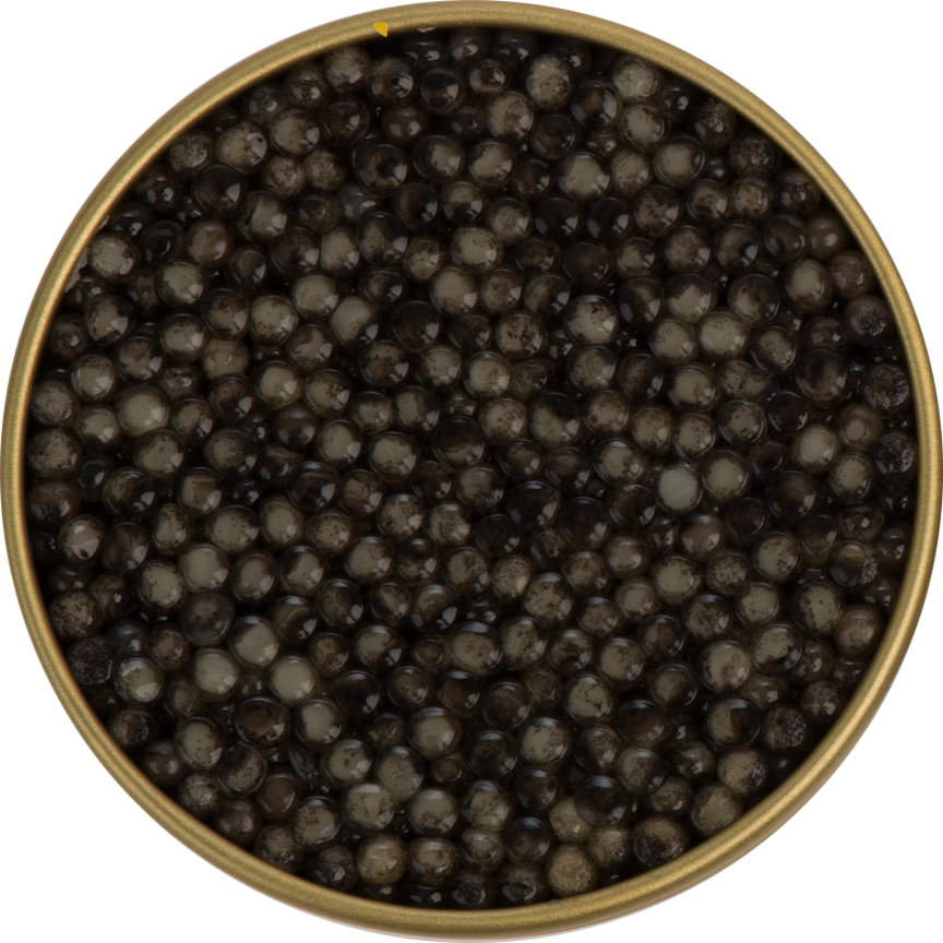 Russian Sturgeon Caviar