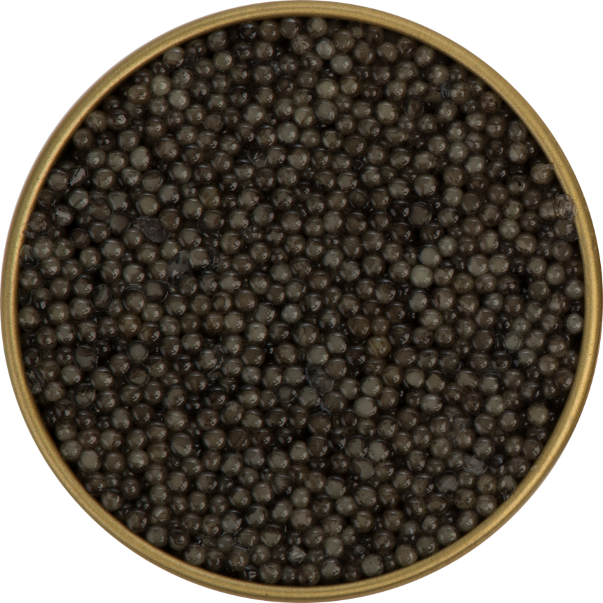 Sterlet Caviar